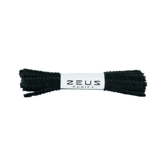 Nettoyeurs à brosse Zeus Purify