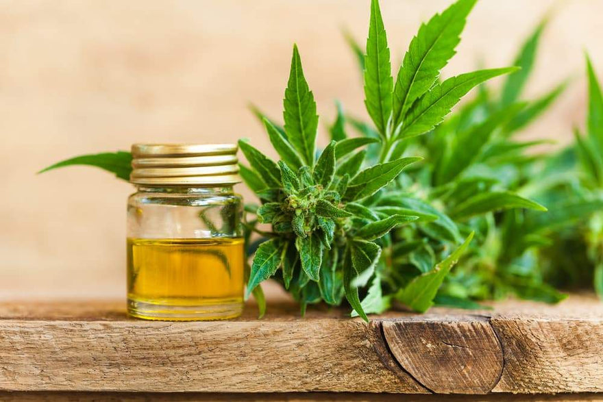 vaporizers.ca blog-Medicinal Benefits of CBD