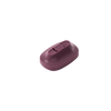 Raised Edlerberry